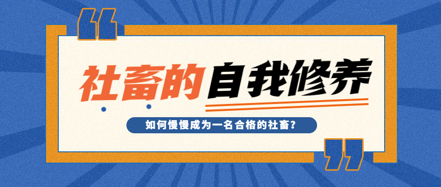 大字醒目社畜专用娱乐公众号首图