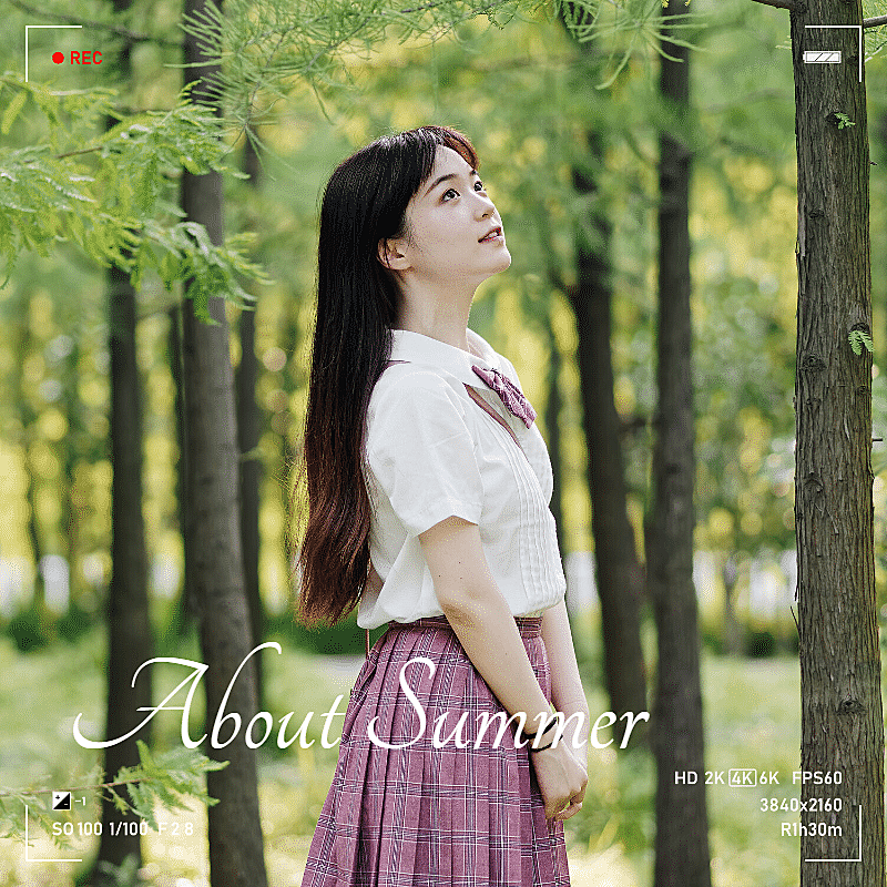 文艺清新夏日风景晒照