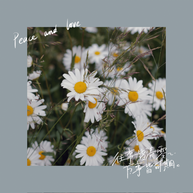 极简日常励志语录生活晒照预览效果