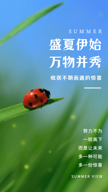 简约实景合成夏季祝福虚实突出预览效果