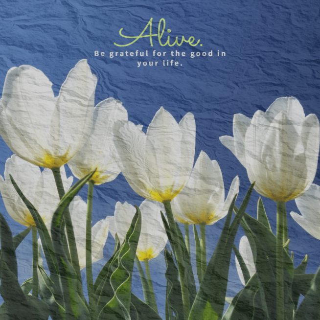 Mark Template预览效果