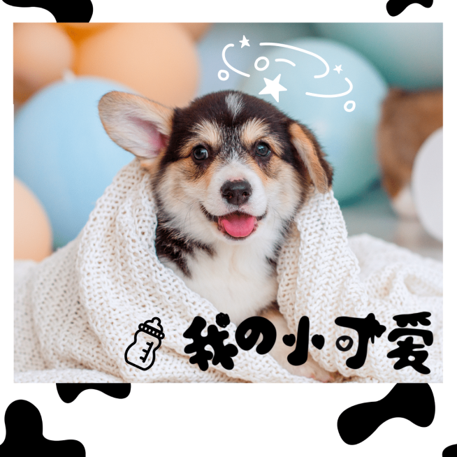 我的小可爱预览效果