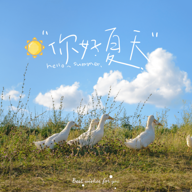 你好夏天模板预览效果