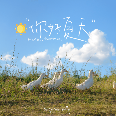 你好夏天模板