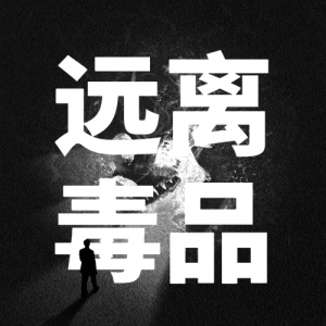 国际禁毒日远离毒品宣传公众号次图