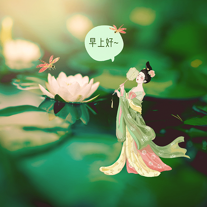 实景合成手绘古风早安问候荷花晒照