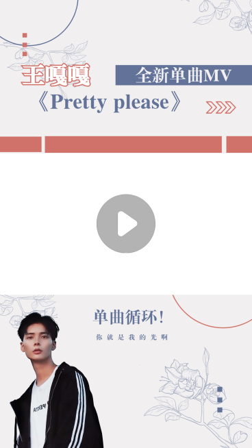 简约时尚竖版视频边框明星应援预览效果