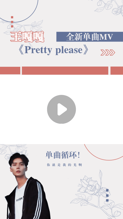 简约时尚竖版视频边框明星应援