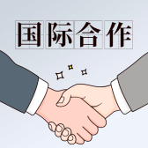 模板缩略图