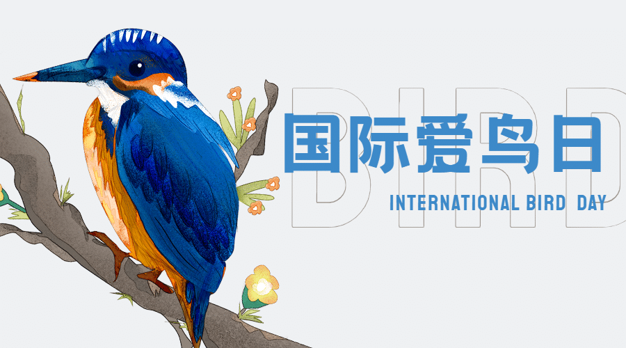 国际爱鸟日保护动物公益宣传手绘横版海报