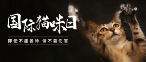 国际猫咪日关爱动物公益宣传实景公众号首图