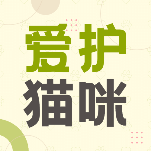 国际猫咪日关爱动物公益宣传可爱公众号次图预览效果