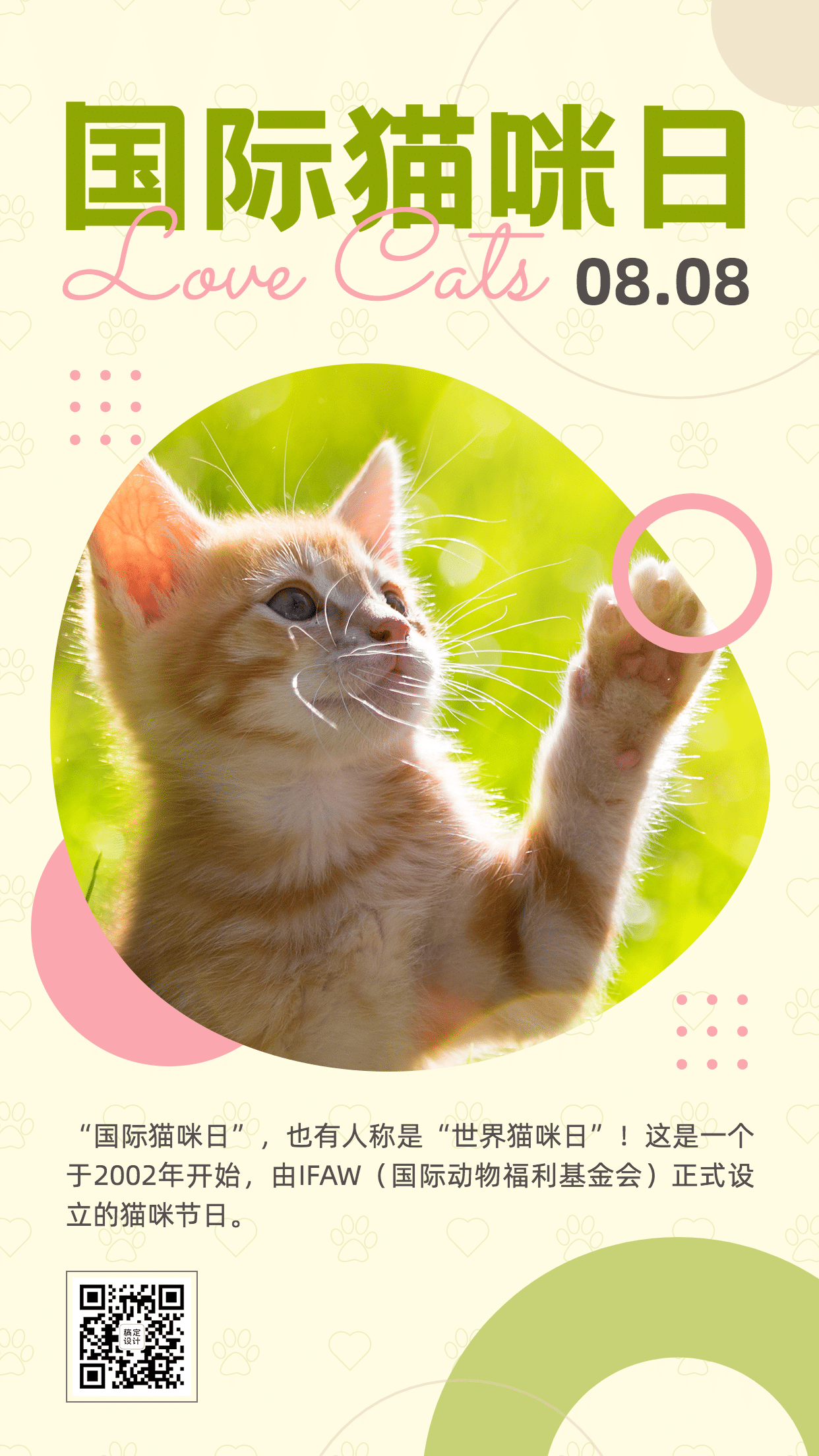国际猫咪日关爱动物公益宣传可爱实景手机海报