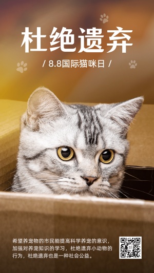 国际猫咪日关爱动物公益宣传可爱实景手机海报