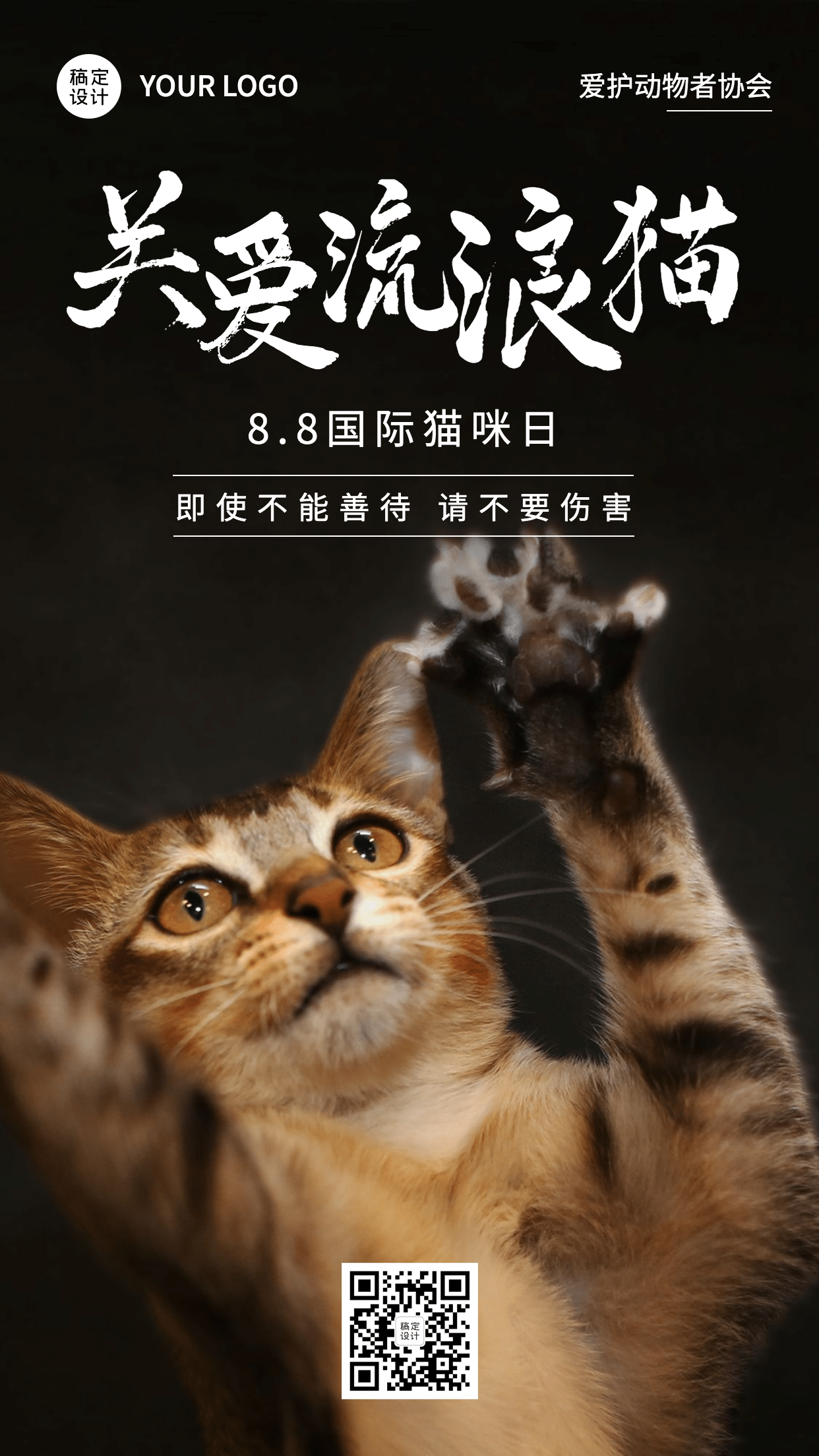 国际猫咪日关爱动物公益宣传实景手机海报