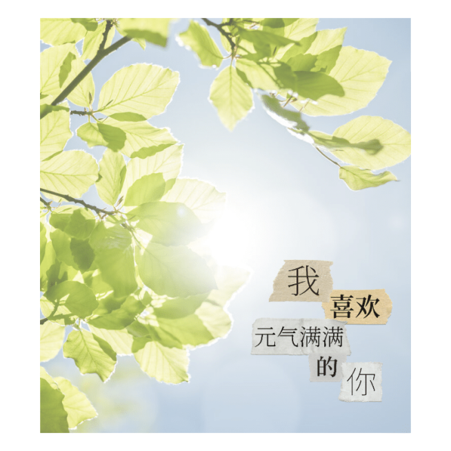 清新正能量励志语录风景预览效果