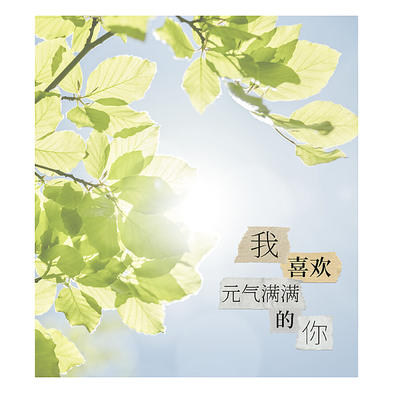 清新正能量励志语录风景