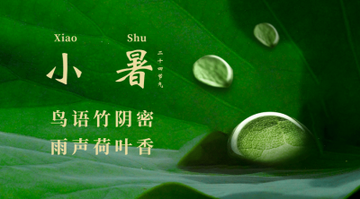 小暑节气祝福夏季实景横版海报
