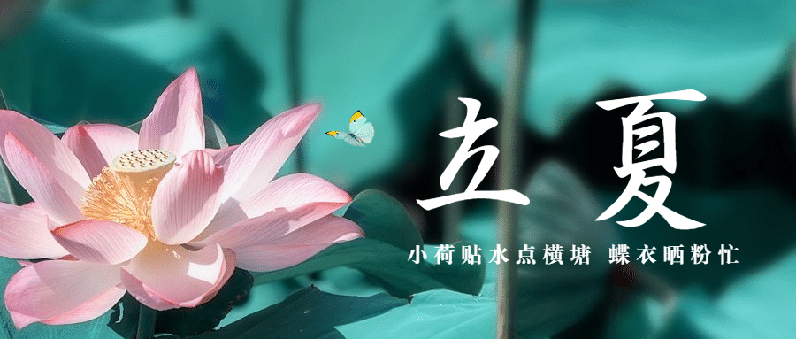 立夏节气祝福问候莲花公众号首图预览效果