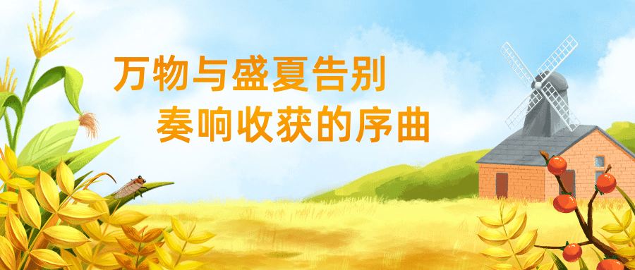 立秋节气祝福问候手绘公众号首图预览效果