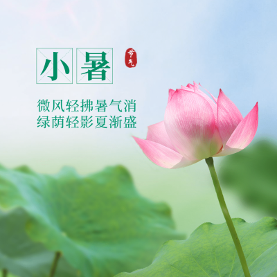 小暑节气祝福夏天实景方形海报