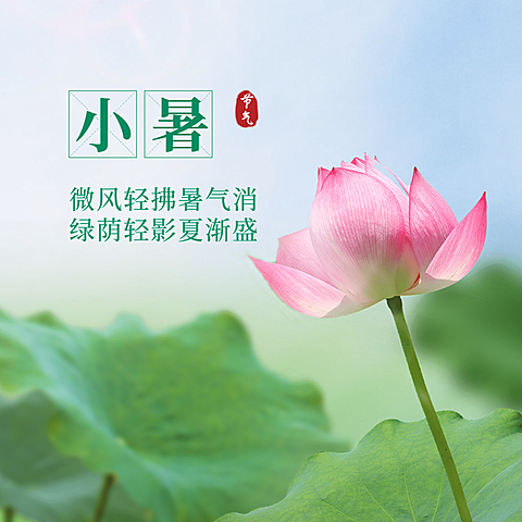 小暑节气祝福夏天实景方形海报