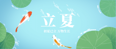 立夏节气祝福夏天荷叶公众号首图