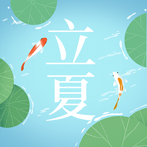立夏节气祝福夏天荷叶公众号次图