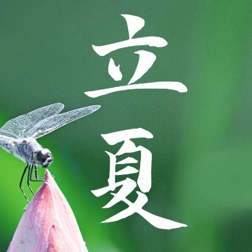 立夏节气祝福夏天蜻蜓公众号次图预览效果