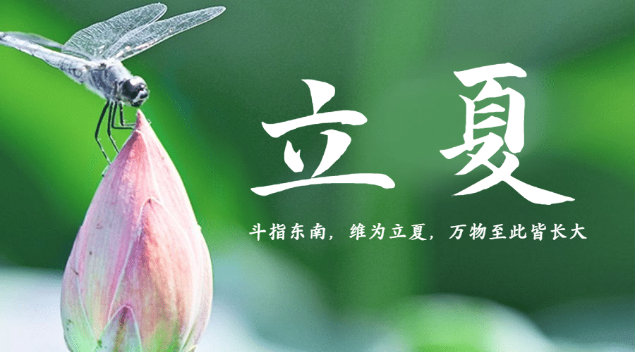 立夏节气祝福夏天蜻蜓广告banner预览效果