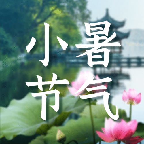 小暑节气祝福夏天莲花公众号次图预览效果