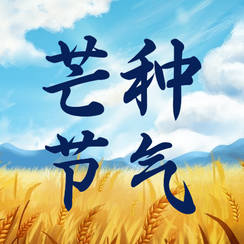 芒种节气祝福农耕丰收公众号次图预览效果
