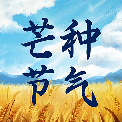 芒种节气祝福农耕丰收公众号次图