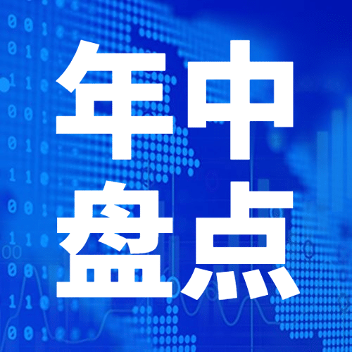 2021年中数据盘点报告公众号次图预览效果