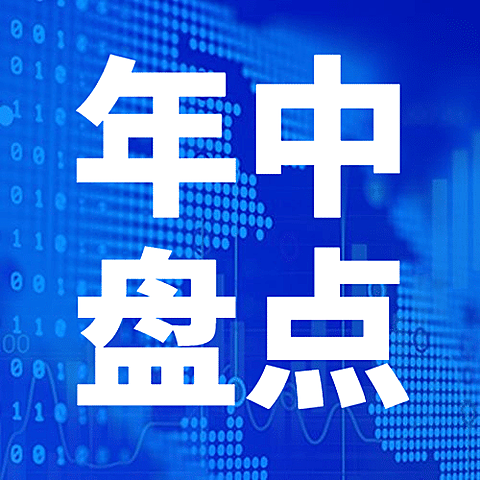2021年中数据盘点报告公众号次图