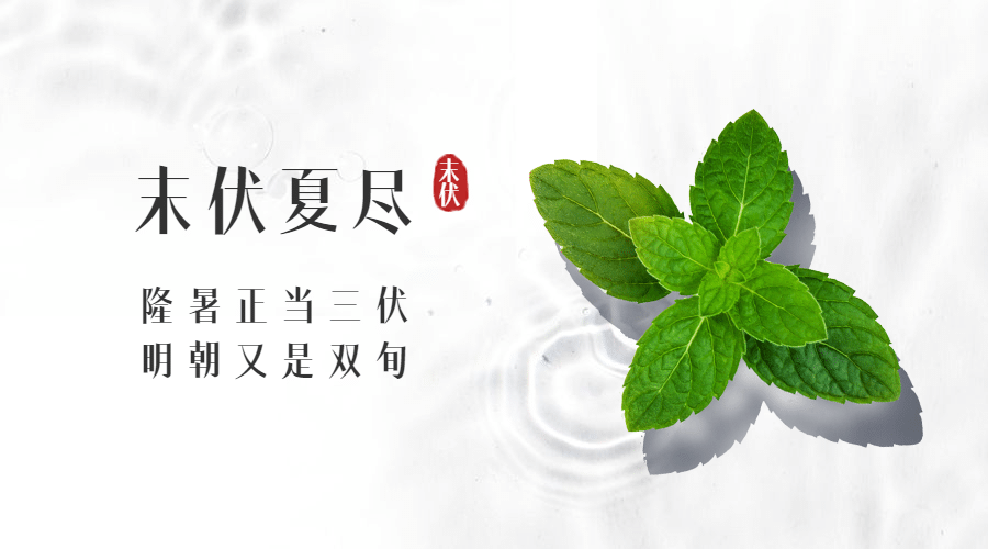 末伏三伏天夏季酷暑实景横版海报预览效果