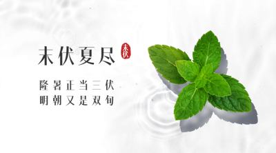 末伏三伏天夏季酷暑实景横版海报