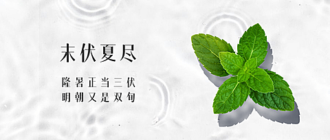 末伏三伏天夏季酷暑实景公众号首图