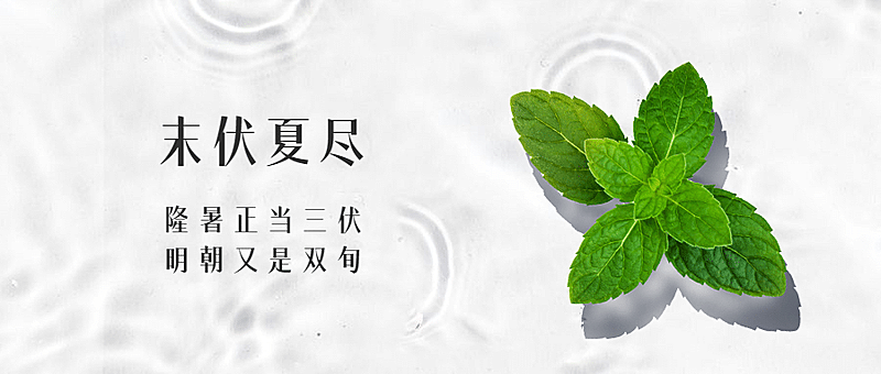 末伏三伏天夏季酷暑实景公众号首图