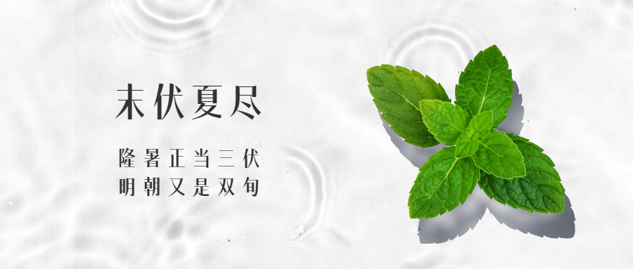 末伏三伏天夏季酷暑实景公众号首图
