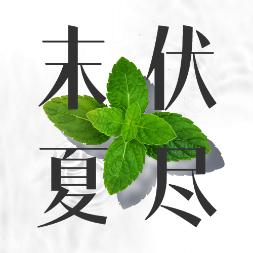末伏三伏天夏季酷暑实景公众号次图预览效果