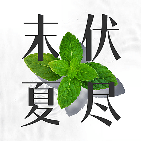 末伏三伏天夏季酷暑实景公众号次图