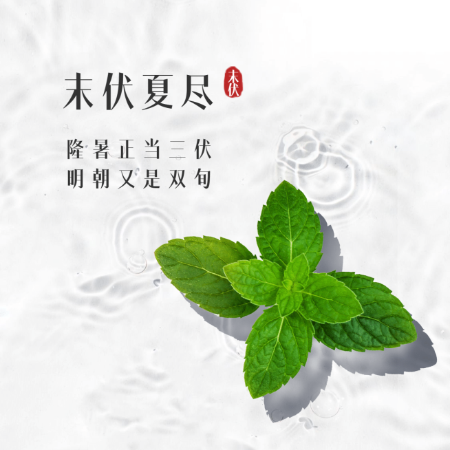 末伏三伏天夏季酷暑实景方形海报预览效果