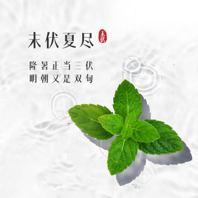 末伏三伏天夏季酷暑实景方形海报