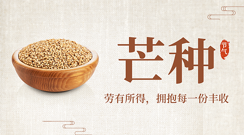 芒种节气祝福农耕丰收横版海报