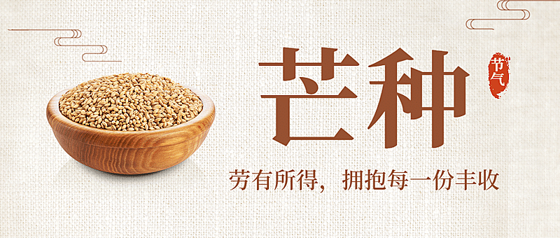 芒种节气祝福农耕丰收公众号首图