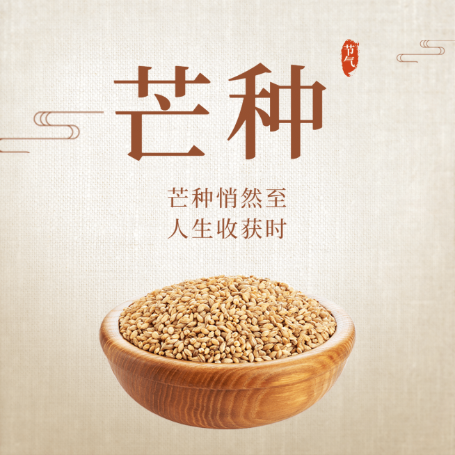 芒种节气祝福农耕丰收方形海报预览效果