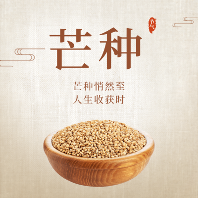 芒种节气祝福农耕丰收方形海报