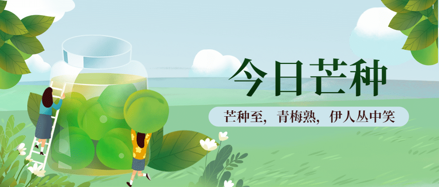 芒种节气祝福青梅习俗公众号首图预览效果