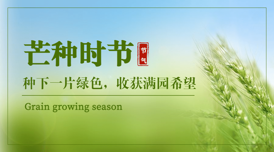芒种节气祝福问候横版海报预览效果